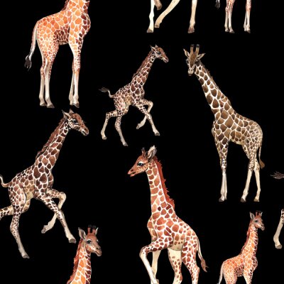 Behang Safaridieren op een zwarte achtergrond