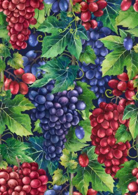 Sappige druiven
