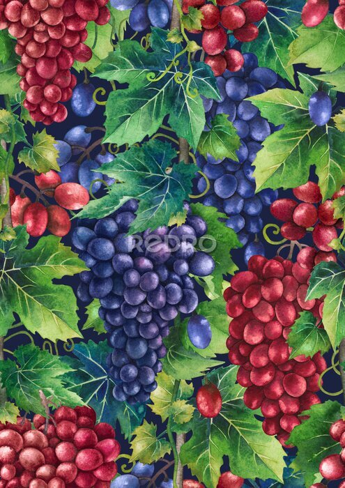 Behang Sappige druiven