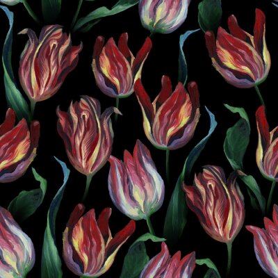 Behang Schilderachtige tulpen op zwarte achtergrond