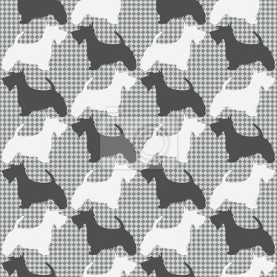 Behang Schotse Terriër Op Controle