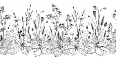 Sticker Seamless horizontal background with wild herbs and flowers.