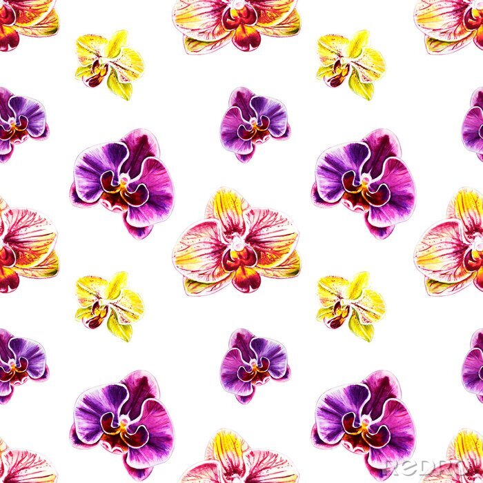 Behang Seamless pattern from orchid flowers. Watercolor painting. Exotic plant. Floral print. Botanical composition. Wedding and birthday. Greeting card. Flower painted background. Hand drawn illustration.