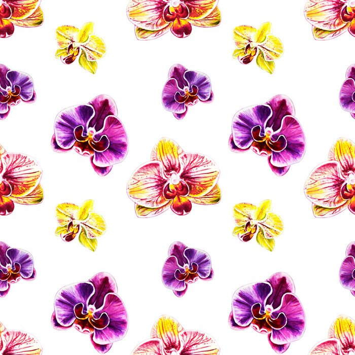 Behang Seamless pattern from orchid flowers. Watercolor painting. Exotic plant. Floral print. Botanical composition. Wedding and birthday. Greeting card. Flower painted background. Hand drawn illustration.
