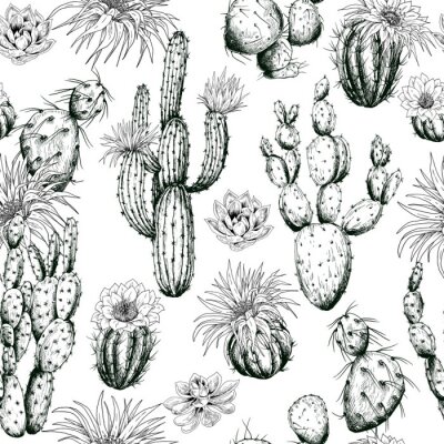 Behang Seamless pattern with black and white cactus plants and flowers. Hand drawn vector.