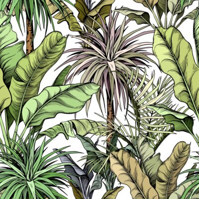 Behang Seamless pattern with green tropical trees. Yucca plants and large banana leaves. Hand drawn vector illustration.