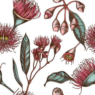 Behang Seamless pattern with hand drawn colored eucalyptus flower