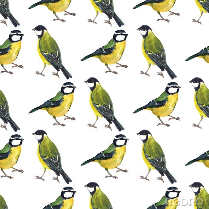 Behang Seamless pattern with tomtits