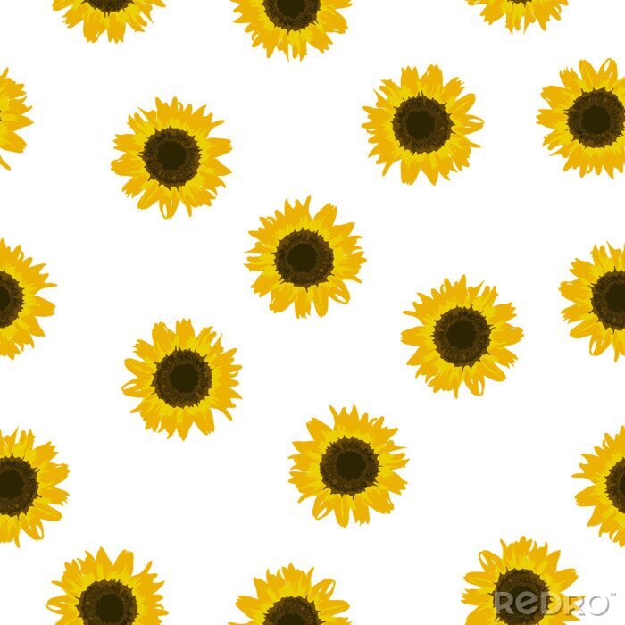 Behang Seamless pattern yellow Sunflower on white background, vector eps 10