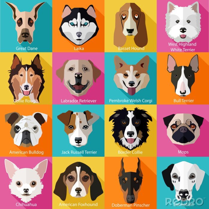 Behang Set van platte populaire rassen van honden pictogrammen.