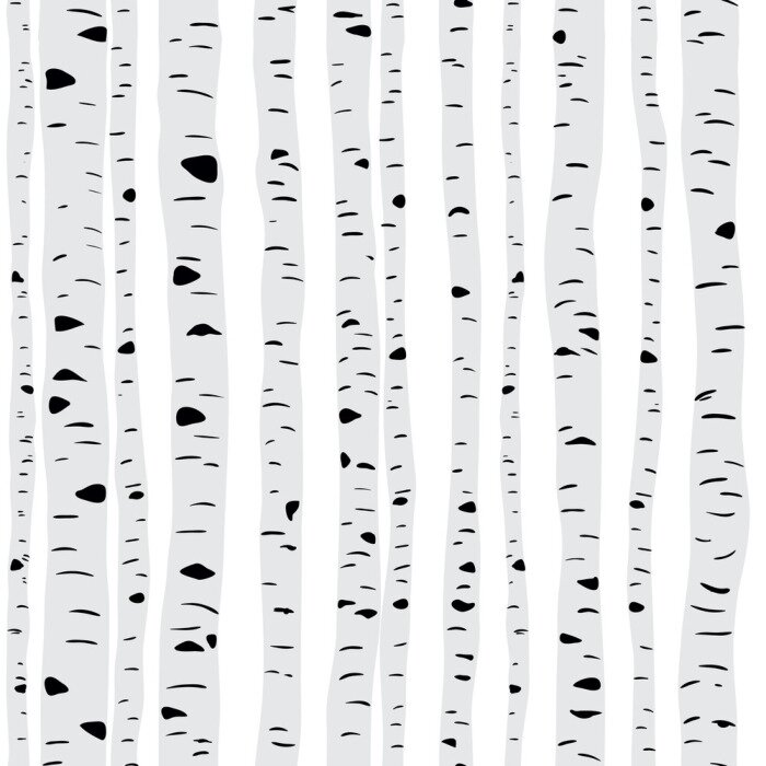 Behang Slanke berken op een lichte achtergrond