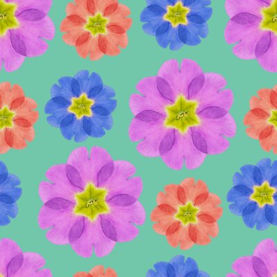 Behang Sleutelbloem in vele kleuren