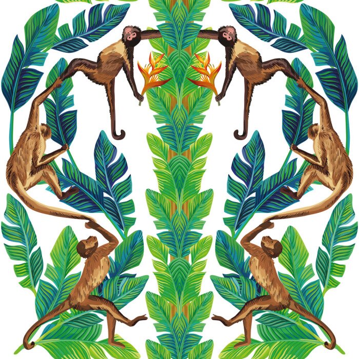 Behang Spiegel aap palm laat samenstelling naadloze witte achtergrond