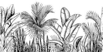 Struikgewas van tropische planten zwart-wit tekening