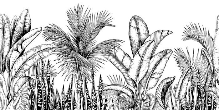 Behang Struikgewas van tropische planten zwart-wit tekening