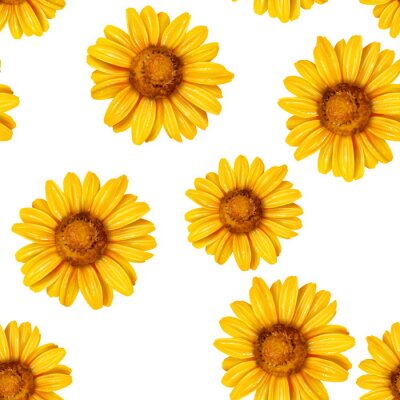 Behang Sunflower seamless pattern. Background with yellow flowers