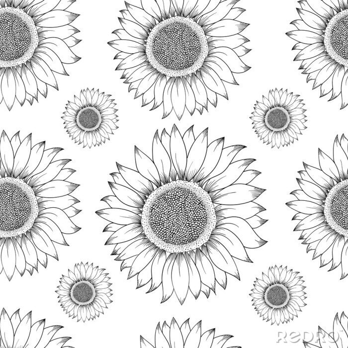 Behang Sunflower seamless pattern. Hand drawn illustration. Food ingredient vintage sketch.