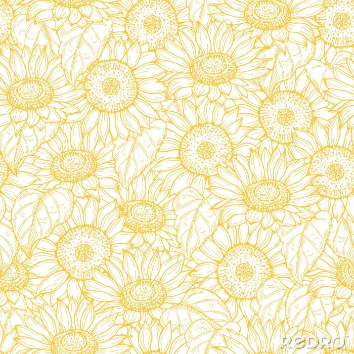 Behang Sunflower seamless pattern. Vector line yellow flowers texture background. Illustration sunflower seamless pattern, floral spring