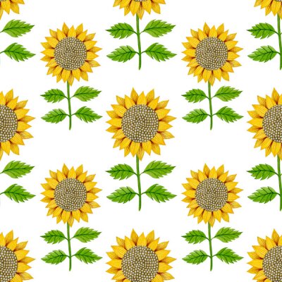 Behang Sunflower watercolor seamless pattern on a white background.
