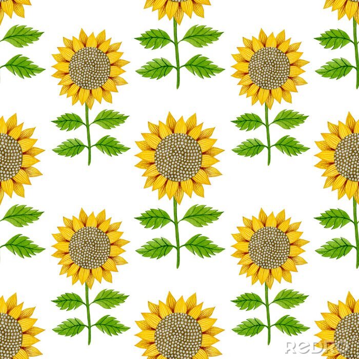 Behang Sunflower watercolor seamless pattern on a white background.