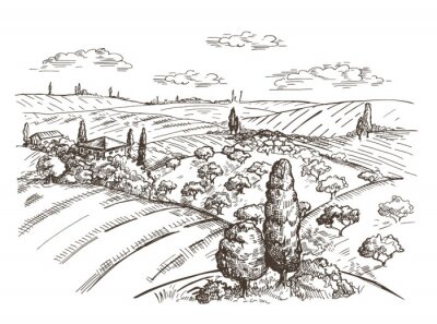 Toscane landschap getekend in potlood