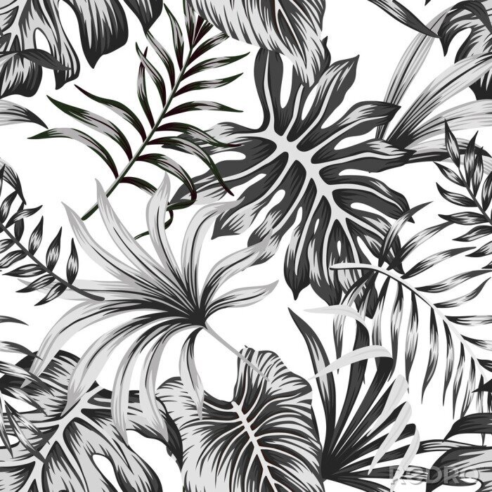 Behang Tropical black and white palm leaves seamless pattern white background. Exotic jungle wallpaper.