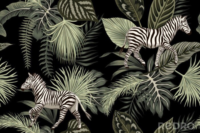Behang Tropisch ontwerp met zebra's