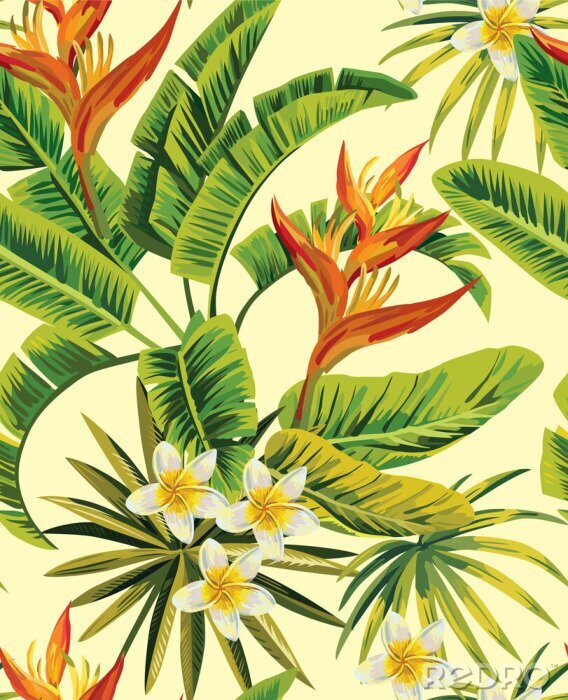 Behang Tropische bladeren en exotische bloemen
