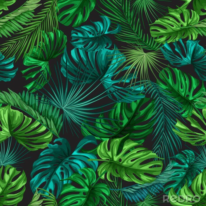 Behang Tropische bladeren op een zwarte achtergrond