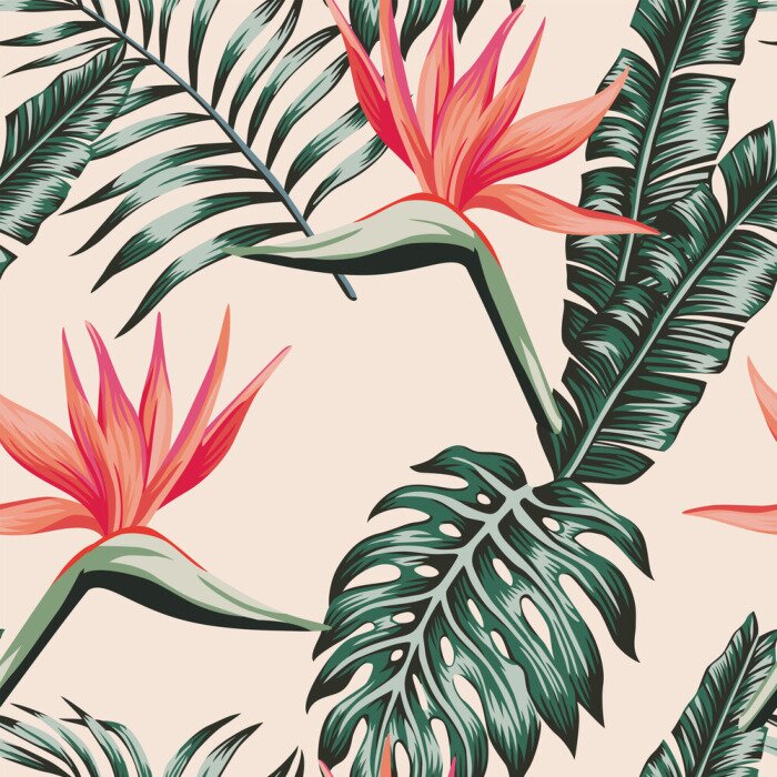 Behang Tropische bloemen die op vogels lijken