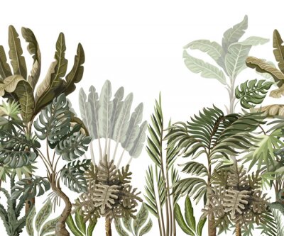 Tropische junglevegetatie