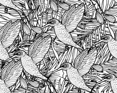 Behang Tropische Kolibrie