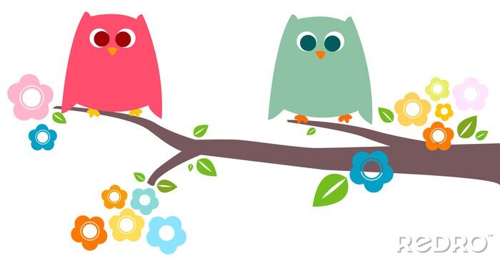 Behang Twee kleurrijke uilen op een bloemrijke tak