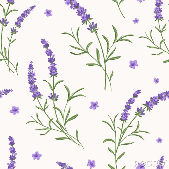 Behang Vector lavendel naadloze patroon. De mooie en elegante lavendel bloeit achtergrond