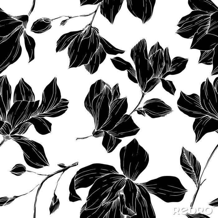 Behang Vector Magnolia floral botanical flowers. Black and white engraved ink art. Seamless background pattern.