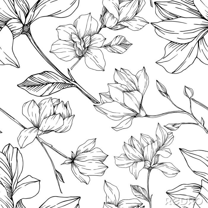 Behang Vector Magnolia floral botanical flowers. Black and white engraved ink art. Seamless background pattern.