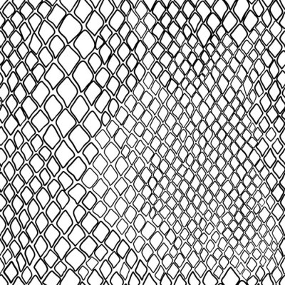 Behang Vector naadloze zwart-wit patroon van slang