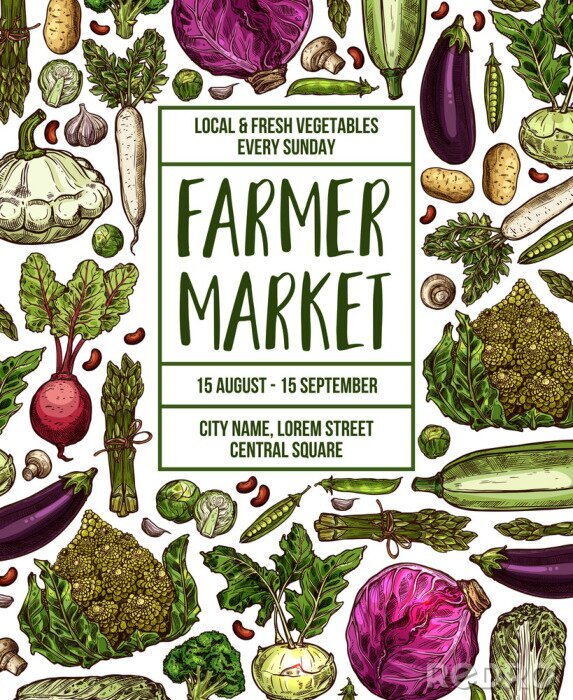 Behang Vector sketch poster for vegetables farm market