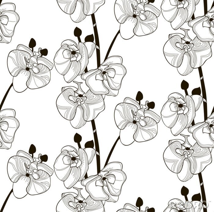 Behang Vector zwart naadloos patroon met getrokken orchideebloemen