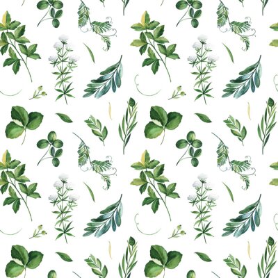 Behang Veld groene bladeren