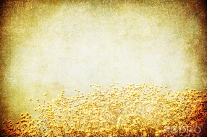 Behang Veld op vintage achtergrond