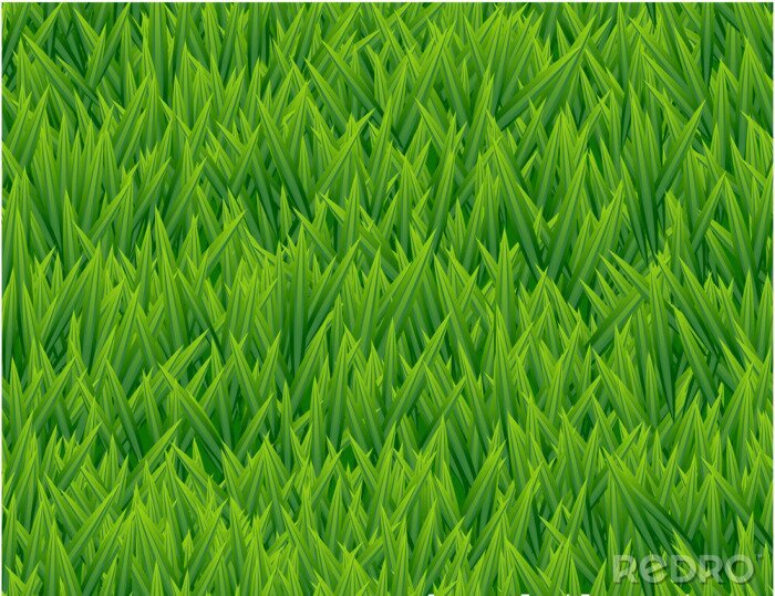 Behang Vers gegroeid gras