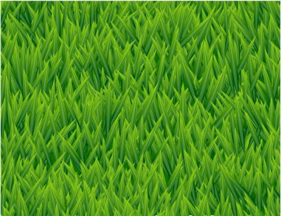 Behang Vers gegroeid gras