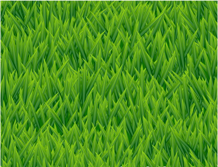 Behang Vers gegroeid gras