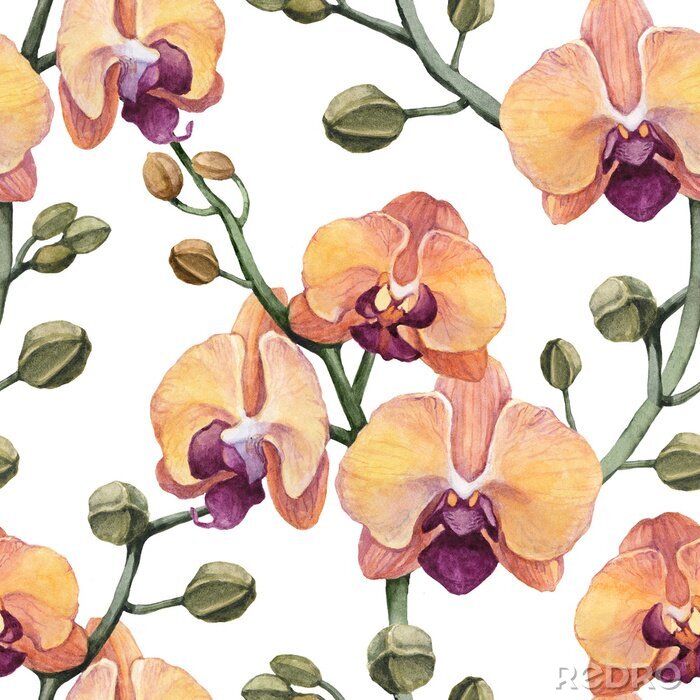 Behang Vintage seamless pattern with watercolor orchid flowers