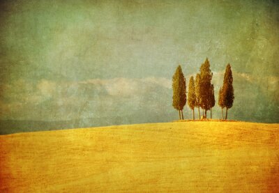 vintage Toscaanse landschap