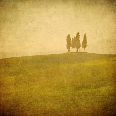 vintage Toscaanse landschap