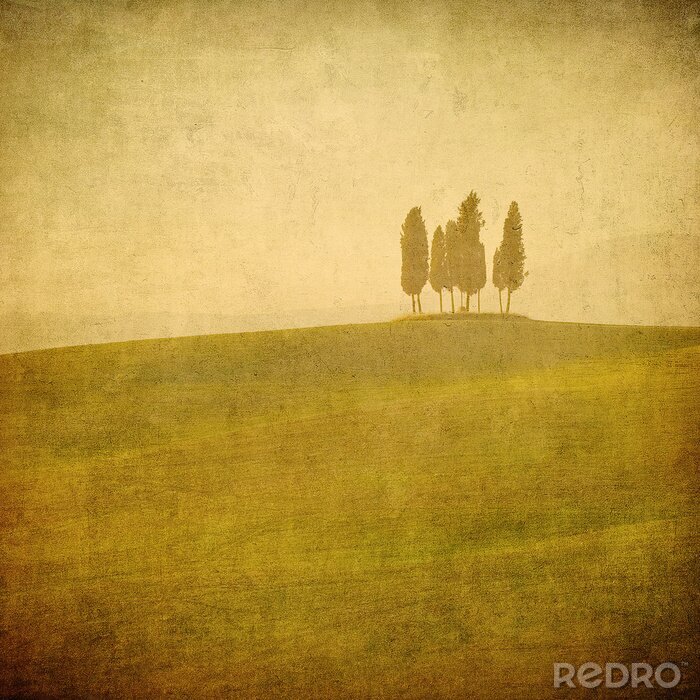 Behang vintage Toscaanse landschap