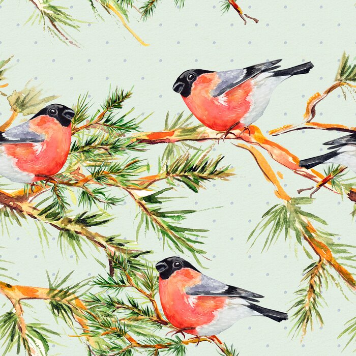 Behang Vogels op een dennentak