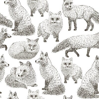 Behang Vos naadloze patroonschets. Hand getrokken vectorillustratie.